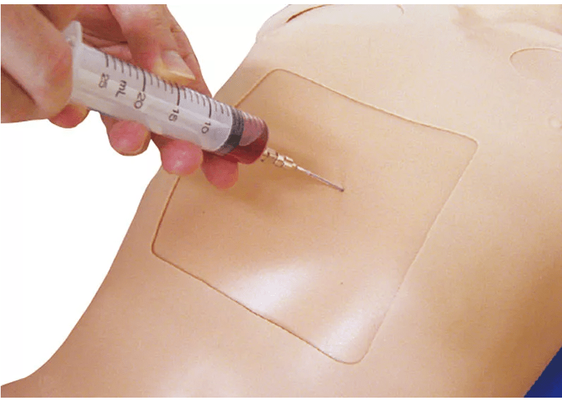 Thorax - Trauma - Trainer - Erler - Zimmer